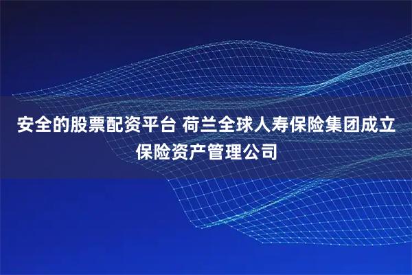 安全的股票配资平台 荷兰全球人寿保险集团成立保险资产管理公司